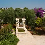 Garden In Mariella *